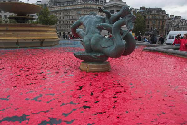 Poppies in the Fountains © Peter Marshall, 2006